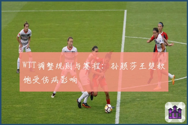 WTT调整规则与赛程：孙颖莎王楚钦饱受伤病影响